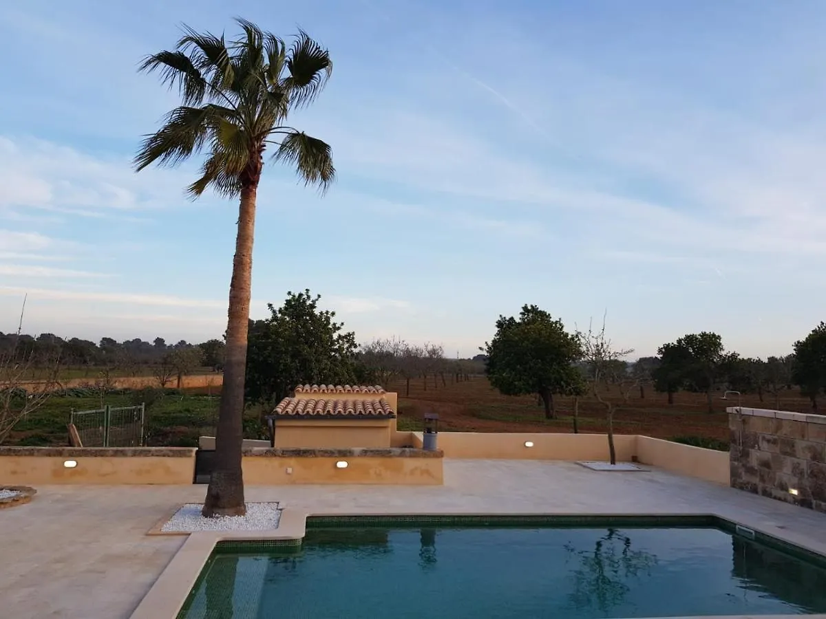 Villa Dinastia Resort Lujo 루크마호르